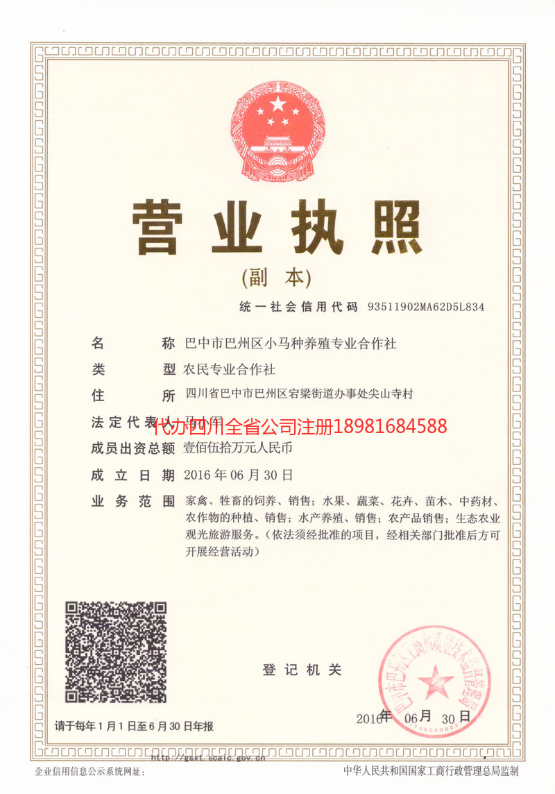 来宾来宾小马种养殖专业合作社